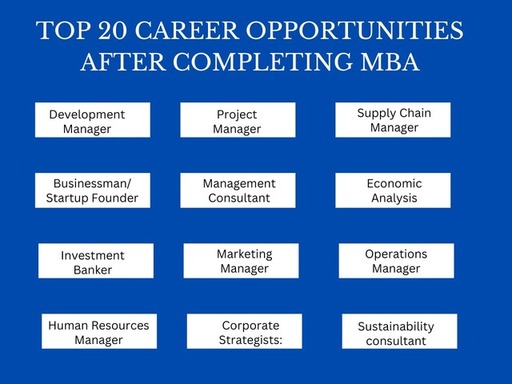 Top 20 Career Option After Online MBA.jpeg