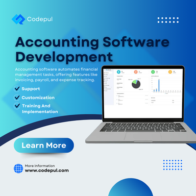 Accounting Software Development (2).png